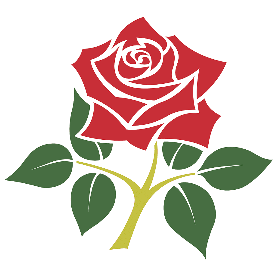 Роза символ Англии